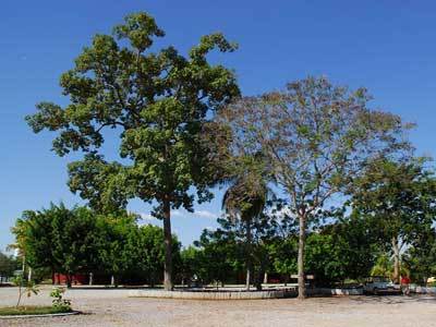 מירנדה Hotel Fazenda Do Bertione מראה חיצוני תמונה