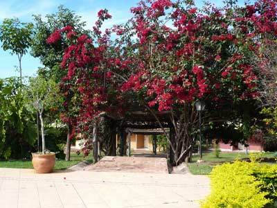 מירנדה Hotel Fazenda Do Bertione מראה חיצוני תמונה